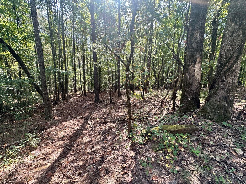 More Photos Of 7330 Frix Rd, Cumming Land For Sale