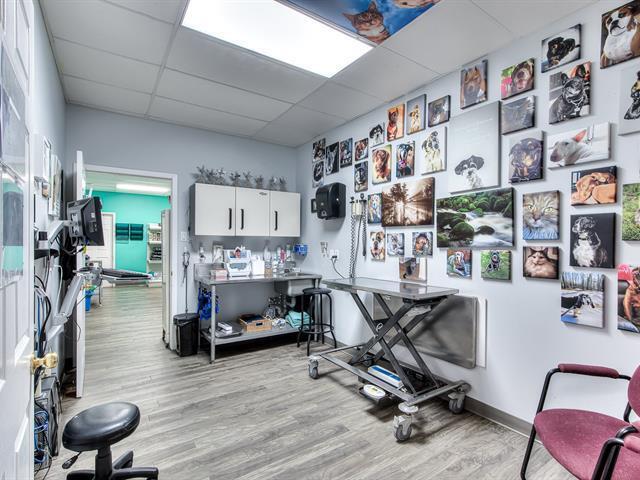 More Photos Of 20 Rue Mill, Howick Veterinarian Kennel For Sale