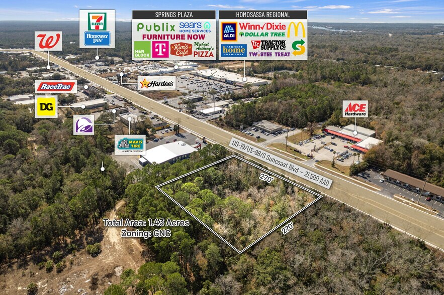 More Photos Of 8541 Faust ln, Homosassa Land For Sale