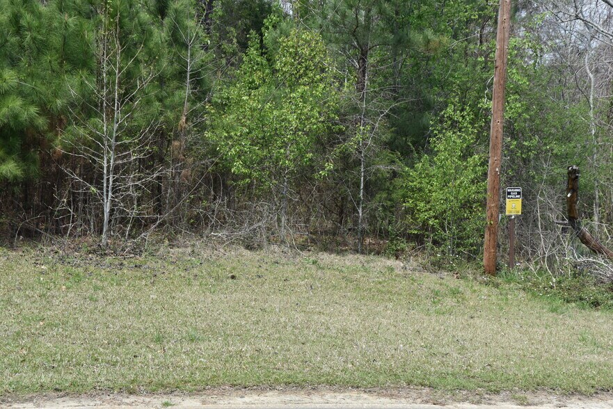 More Photos Of Warm Springs Rd @ GA-208, Waverly Hall Land For Sale