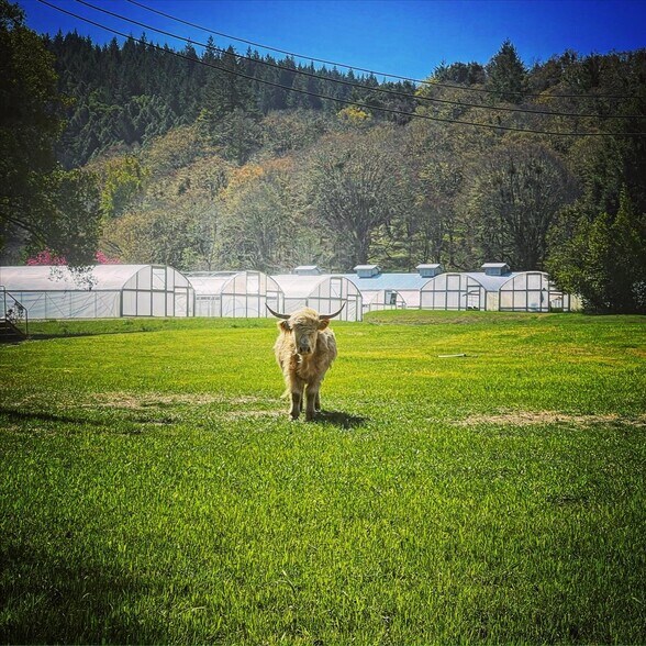 More Photos Of 220 Wilder Ridge rd, Honeydew Land For Sale