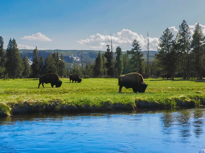 More Photos Of 1111 Moonrise Way, West Yellowstone Land For Sale