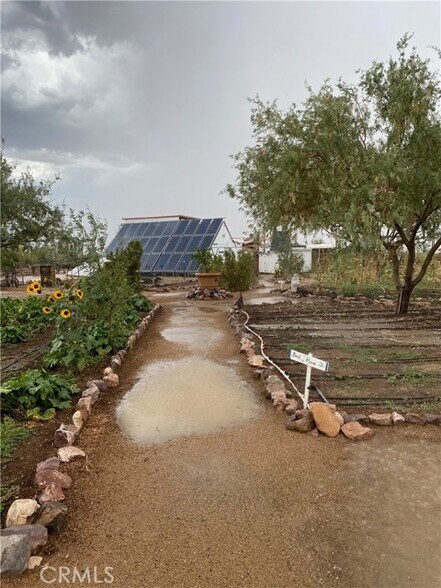 More Photos Of 691 Desert Trail way, Tecopa Winery Vineyard For Sale