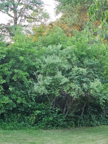 More Photos Of 36026 Jewell Ct, Earlham Land For Sale