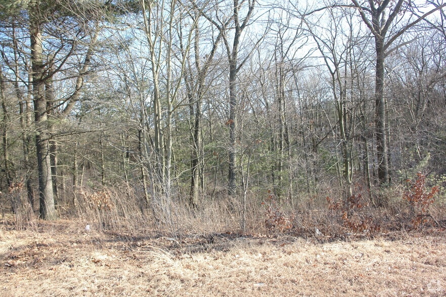 Primary Photo Of 334 Providence Hwy, Sharon Land For Sale