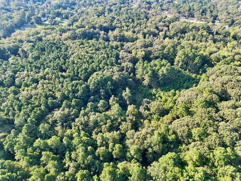 More Photos Of 1015 Bassett Rd, Palestine Land For Sale