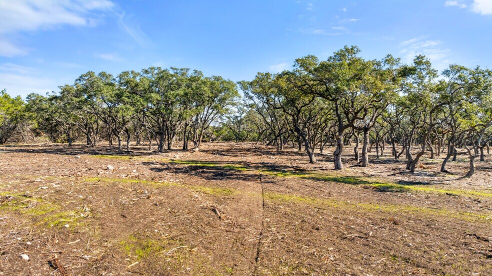 More Photos Of 16597 U.S. 281, Spring Branch Land For Sale