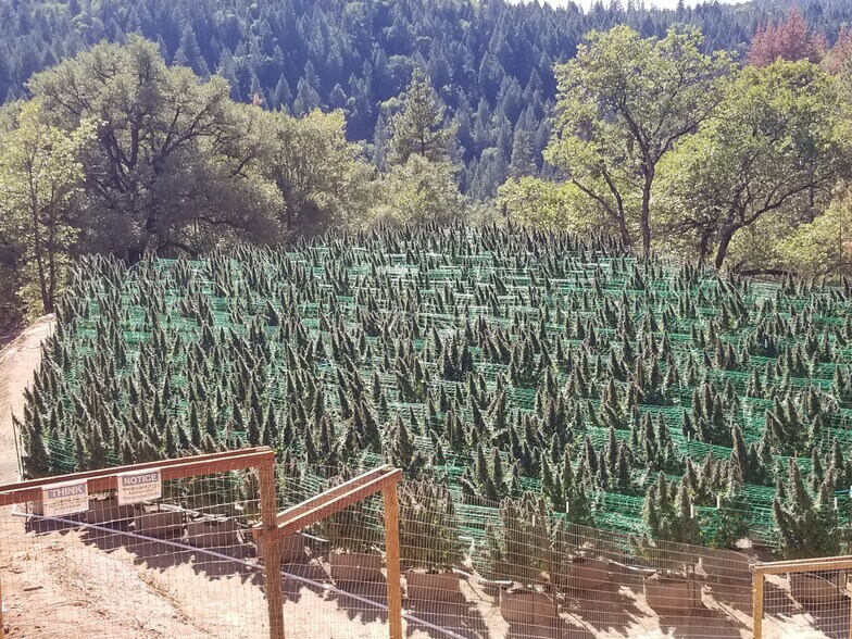 More Photos Of 2883 N Railroad Flat Rd, Wilseyville Land For Sale