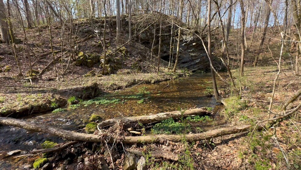 More Photos Of 7312 Highway 60, Georgetown Land For Sale