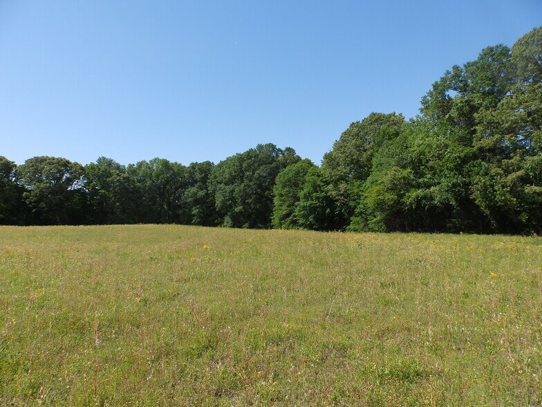 More Photos Of 3168 US Highway 175, Frankston Land For Sale