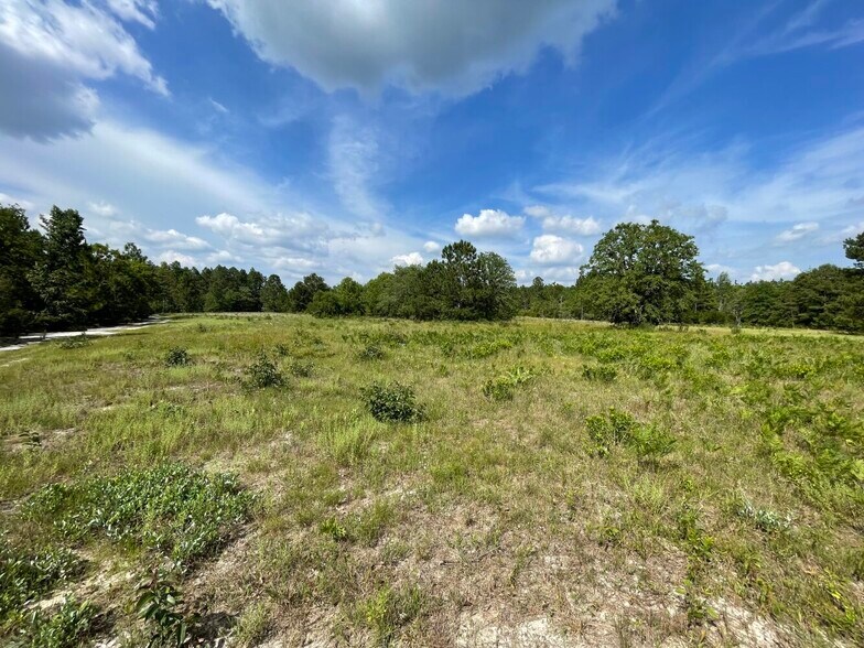 More Photos Of 229 Colbert Bridge Road, Windsor Land For Sale