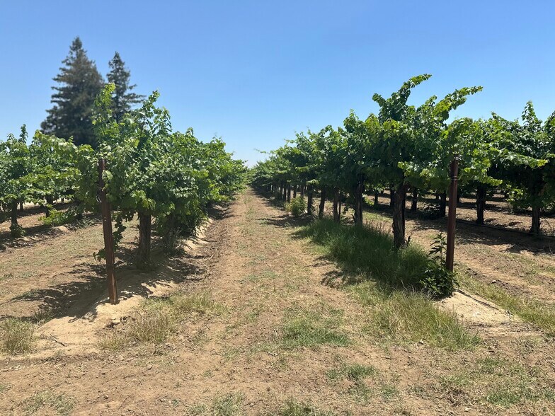 More Photos Of 17490 N Bruella Rd, Lodi Land For Sale