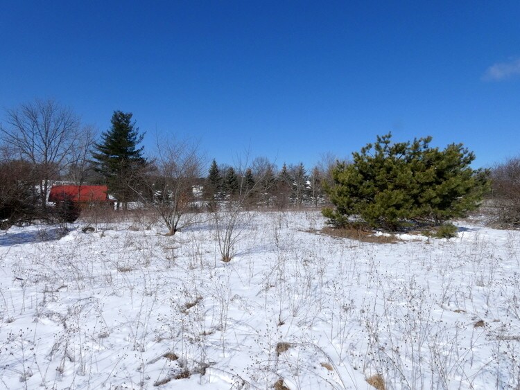 More Photos Of 360 South St, Ortonville Land For Sale