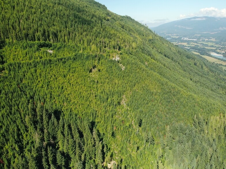 More Photos Of XX Finney Cumberland Road, Sedro Woolley Land For Sale