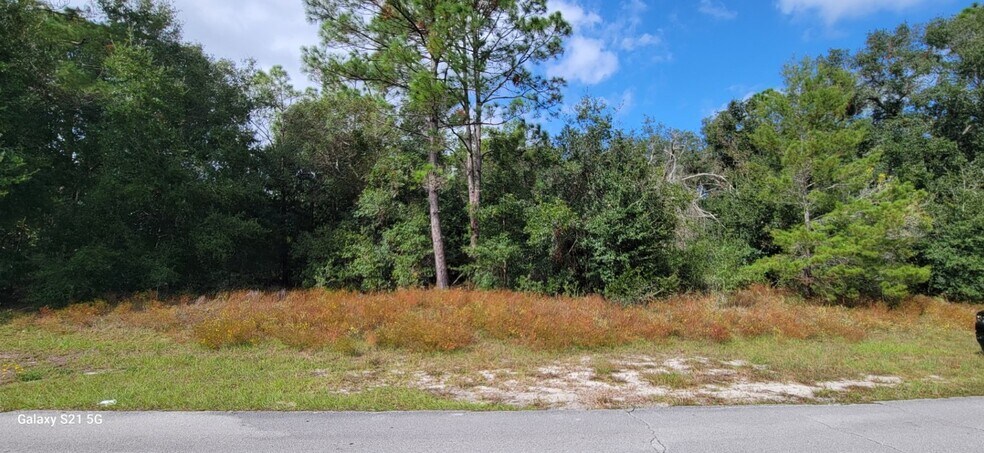 More Photos Of Lake Helen Osteen Rd, Deltona Land For Sale