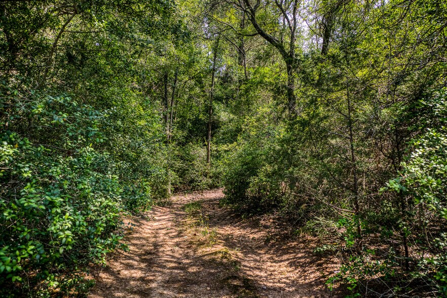 More Photos Of TBD (+/-88 Acres) Smith Rd, Bastrop Land For Sale