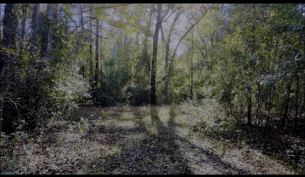 More Photos Of 3382 Silver Bluff Rd, Aiken Land For Sale