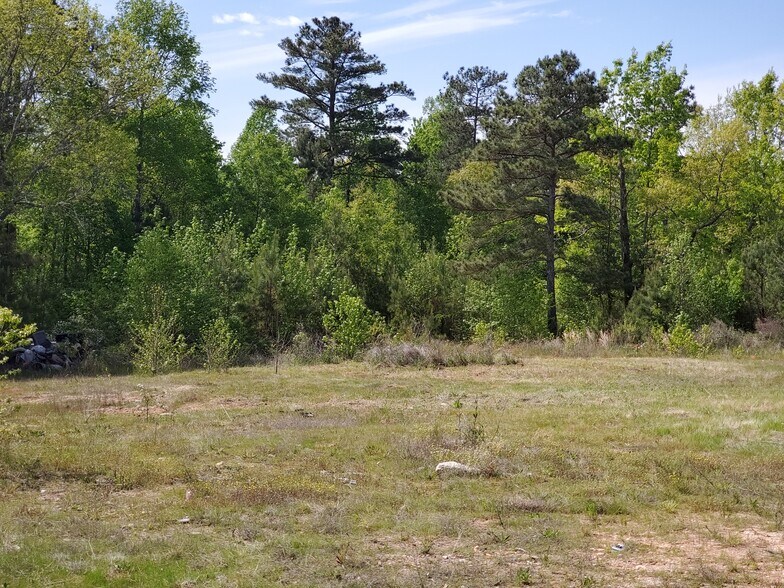 More Photos Of 5405 US Highway 78, Bremen Auto Salvage Facility For Sale
