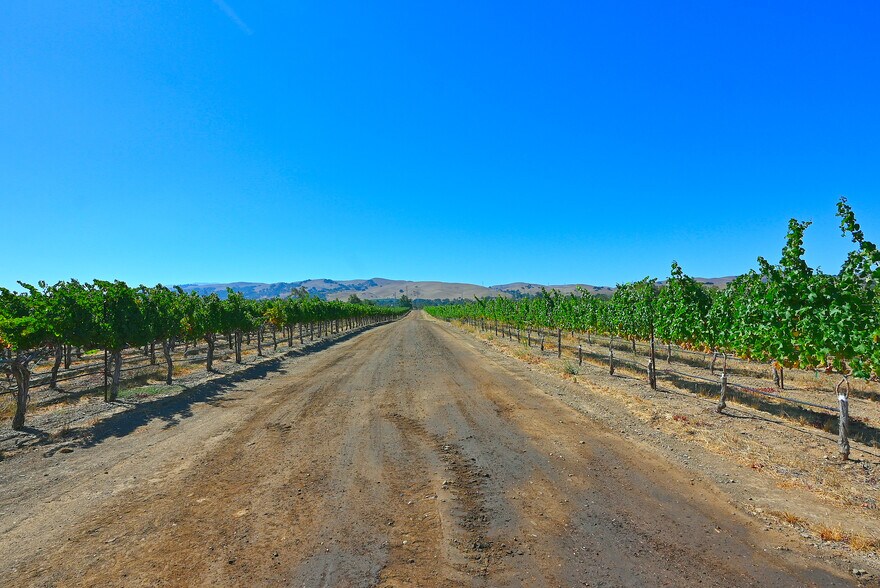 More Photos Of Arroyo Rd, Livermore Land For Sale