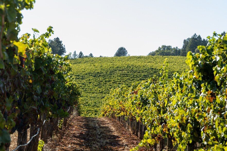 More Photos Of 13700 Rockpile Rd, Geyserville Land For Sale