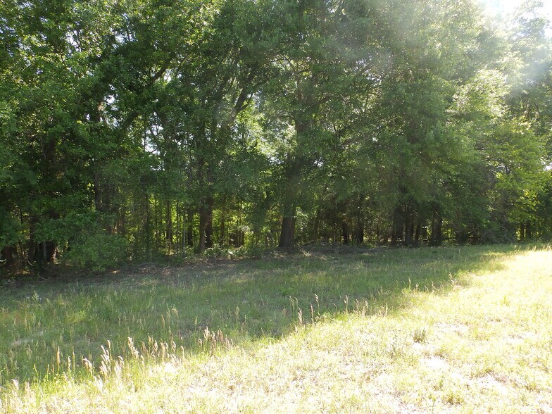 More Photos Of 3168 US Highway 175, Frankston Land For Sale