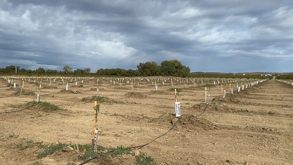 More Photos Of 28815 County Road 12A, Esparto Land For Sale