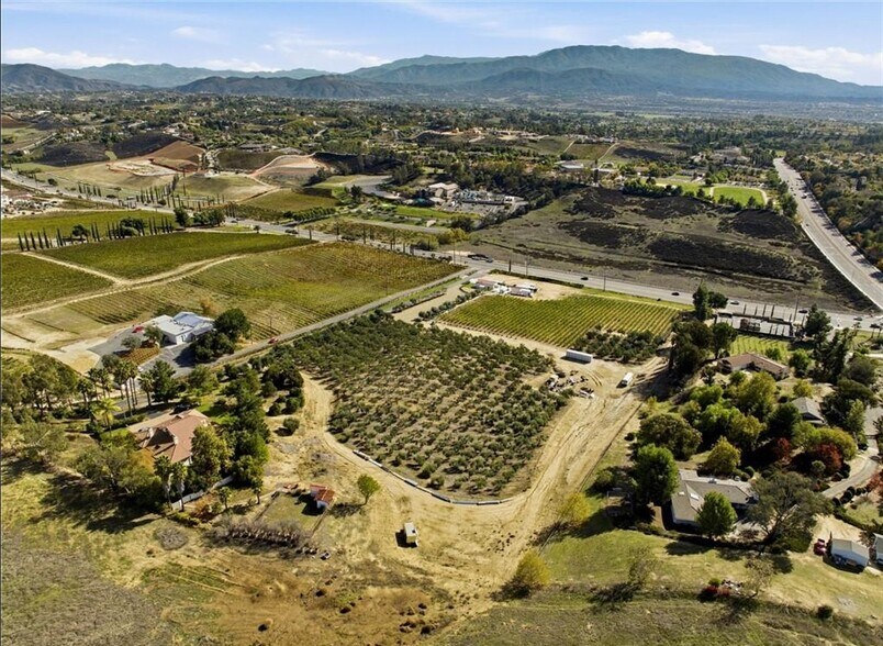 More Photos Of 41309 Avenida Biona, Temecula Winery Vineyard For Sale