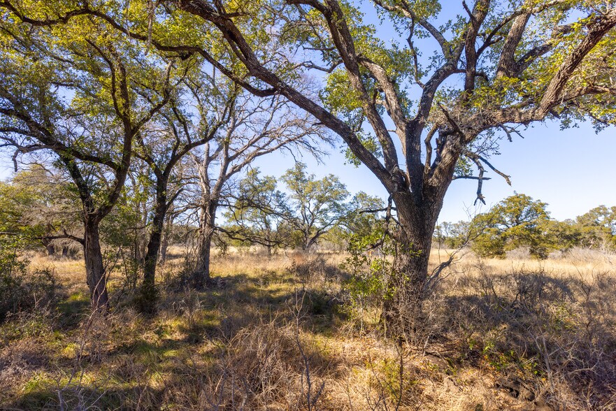 More Photos Of W Hwy 71 & Paleface Ranch rd, Spicewood Land For Sale