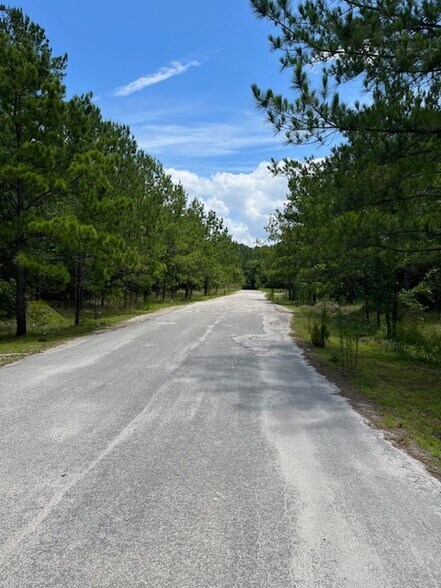 More Photos Of State S-27-19 Rd, Ridgeland Land For Sale