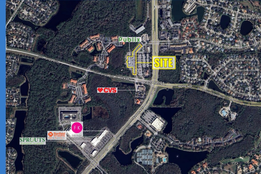 More Photos Of 19002-19010 Bruce B Downs Blvd, Tampa Unknown For Lease