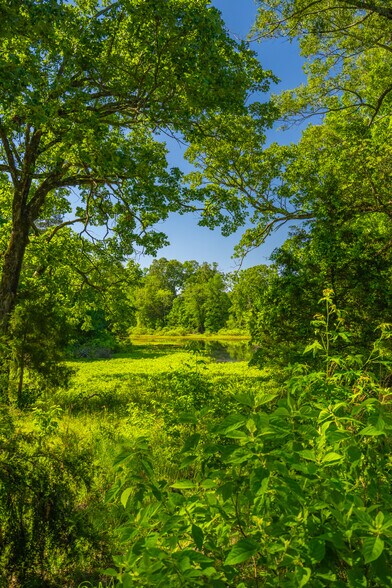 More Photos Of County Road 2592, Marietta Land For Sale