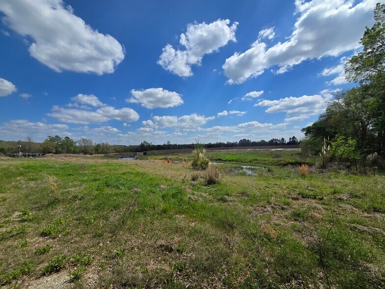 More Photos Of 11888 County Road 345, Winona Land For Sale