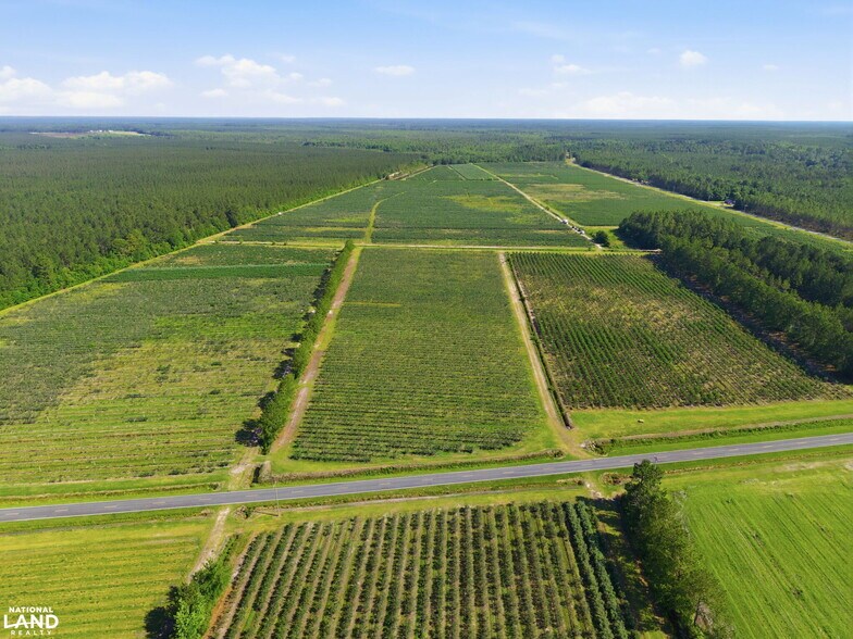 More Photos Of 5478 Halfway Branch School rd, Ivanhoe Land For Sale