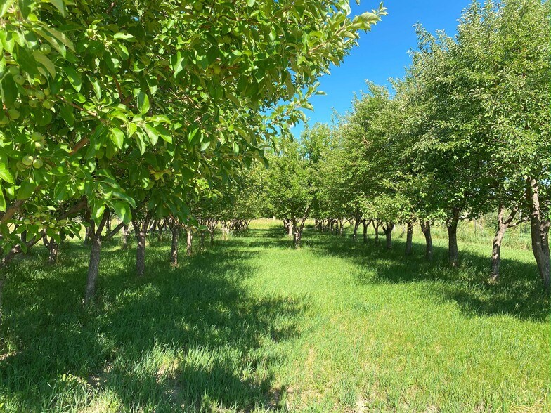 More Photos Of 157 Hergenrider Rd, Bridger Land For Sale