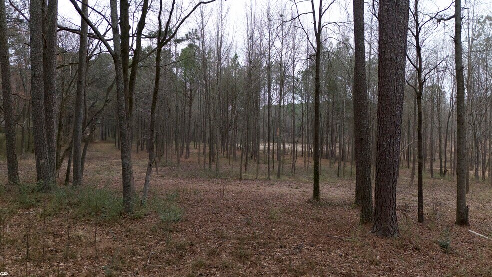 More Photos Of 1707 Warnke Rd NW, Cullman Land For Sale