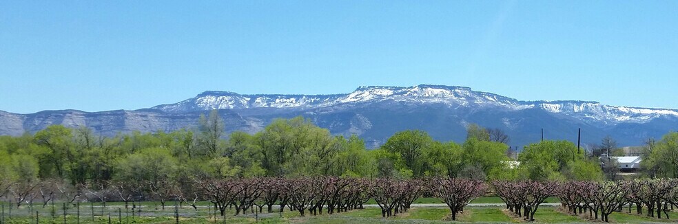 More Photos Of 3376 C Rd, Palisade Specialty For Sale