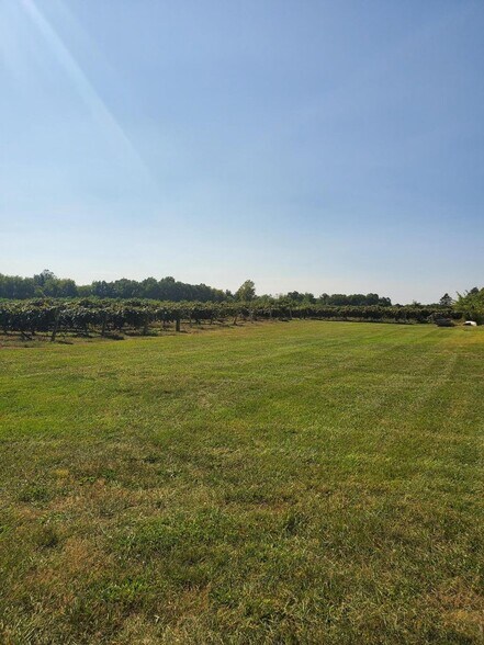 More Photos Of , Paw Paw Winery Vineyard For Sale