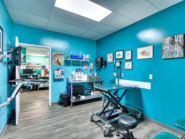 More Photos Of 20 Rue Mill, Howick Veterinarian Kennel For Sale