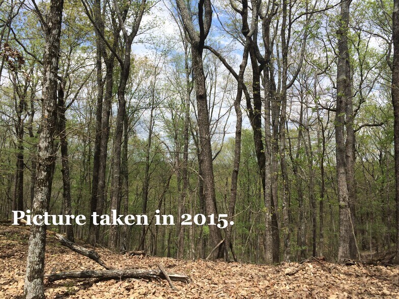 More Photos Of Pinyan, Ranger Land For Sale