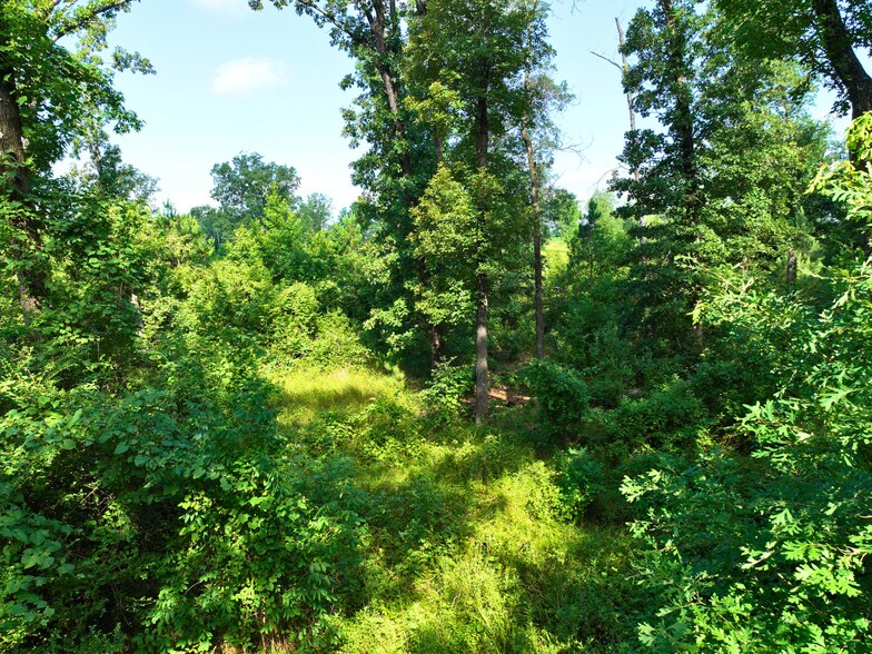 More Photos Of 6973 Arkansas 7, Bismarck Land For Sale