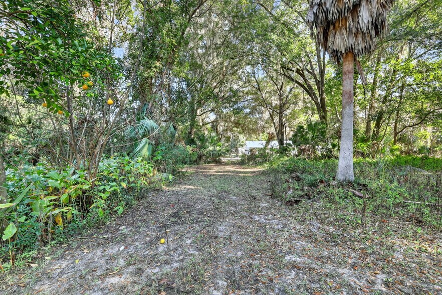 More Photos Of 21121 Highway 441 N, Micanopy Land For Sale