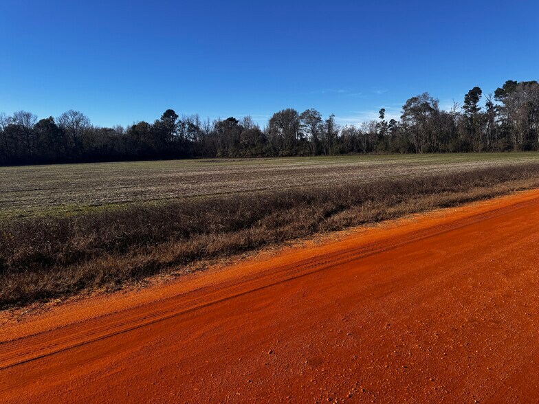 More Photos Of 0 Wiggins Road, Frisco City Land For Sale