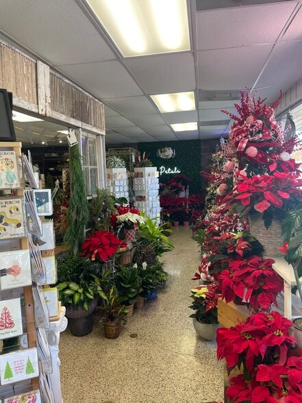 More Photos Of 1515 N Walnut Ave, New Braunfels Freestanding For Lease