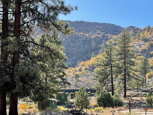 More Photos Of 415-025 Scott Rd, Doyle Land For Sale