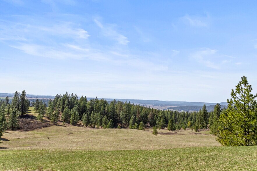 More Photos Of 15809 N Scribner Branch Rd, Spokane Land For Sale
