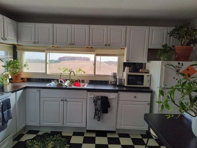 More Photos Of 10010 Werth Rd, Herron Storefront Retail Residential For Sale