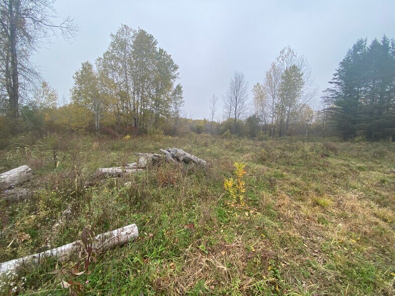 Primary Photo Of Caughdenoy Rd, Clay Land For Sale