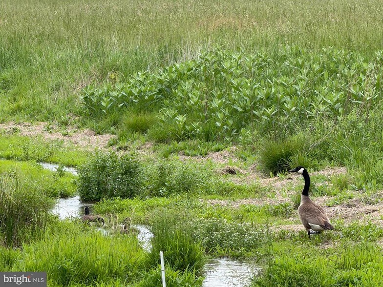 More Photos Of 9385 Royer Rd, Mercersburg Land For Sale