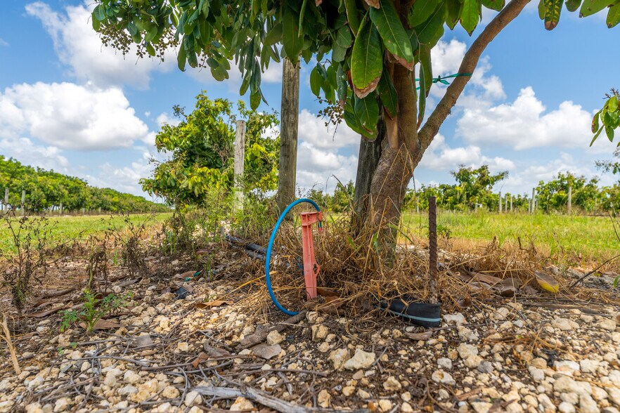 More Photos Of SW 228th Ave @ SW 227th Ave, Homestead Land For Sale