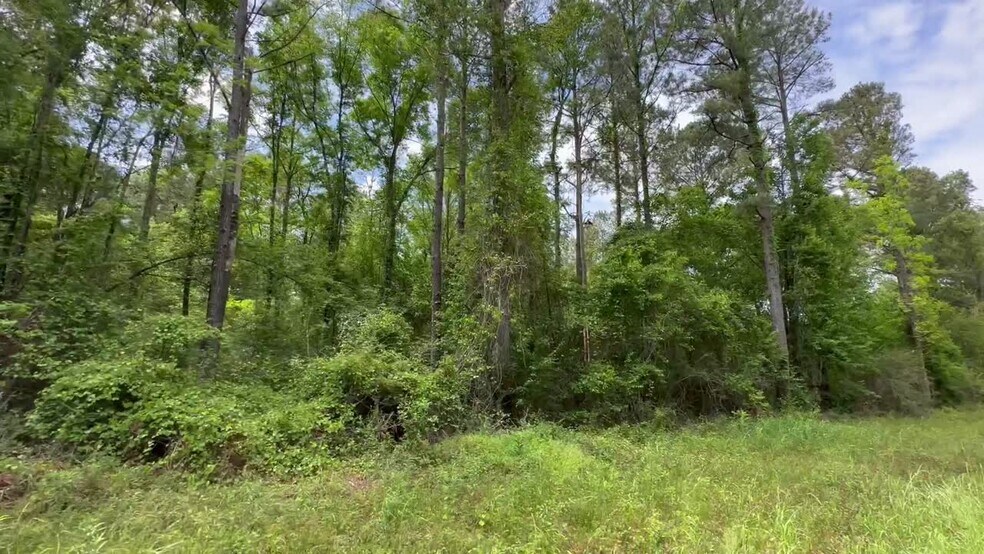 More Photos Of 0 Wilmer, Wilmer Land For Sale